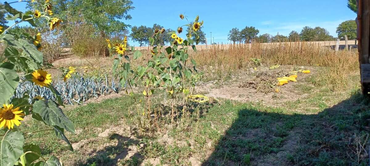 Appartement à SAINT-PLAISIR
