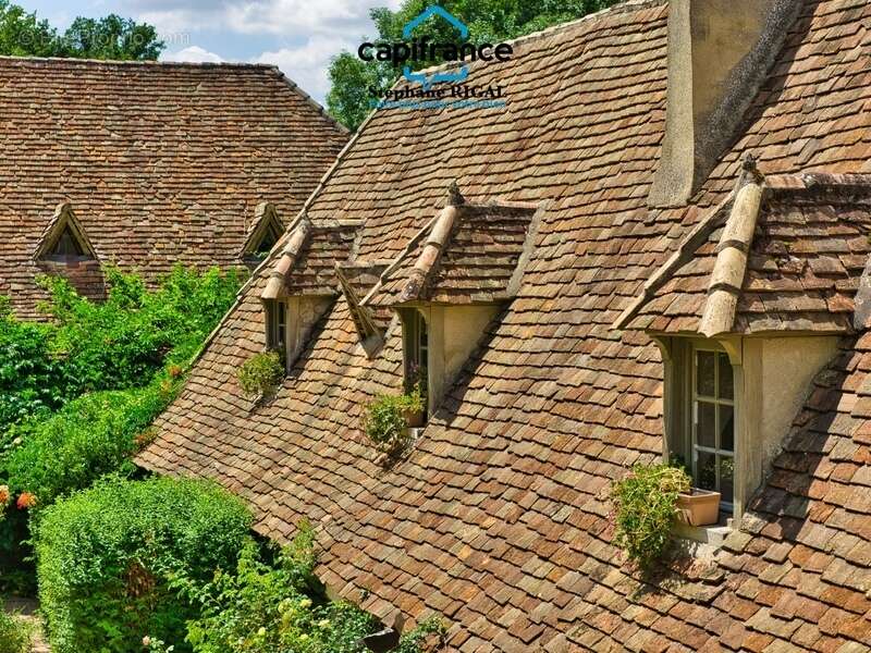Propriete à vendre à Beaumontois en Périgord, Maison et gîte de 340m2 habitables sur 1,7ha avec piscine - photo 20