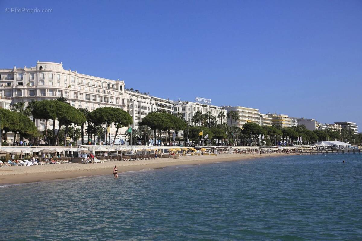 Commerce à CANNES