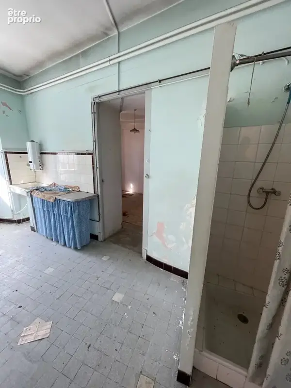 Maison T9 de 245m2 - photo 4