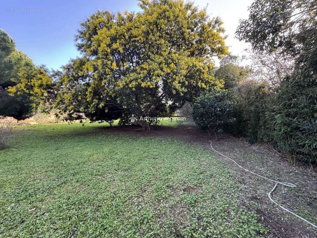 Maison à LA SEYNE-SUR-MER