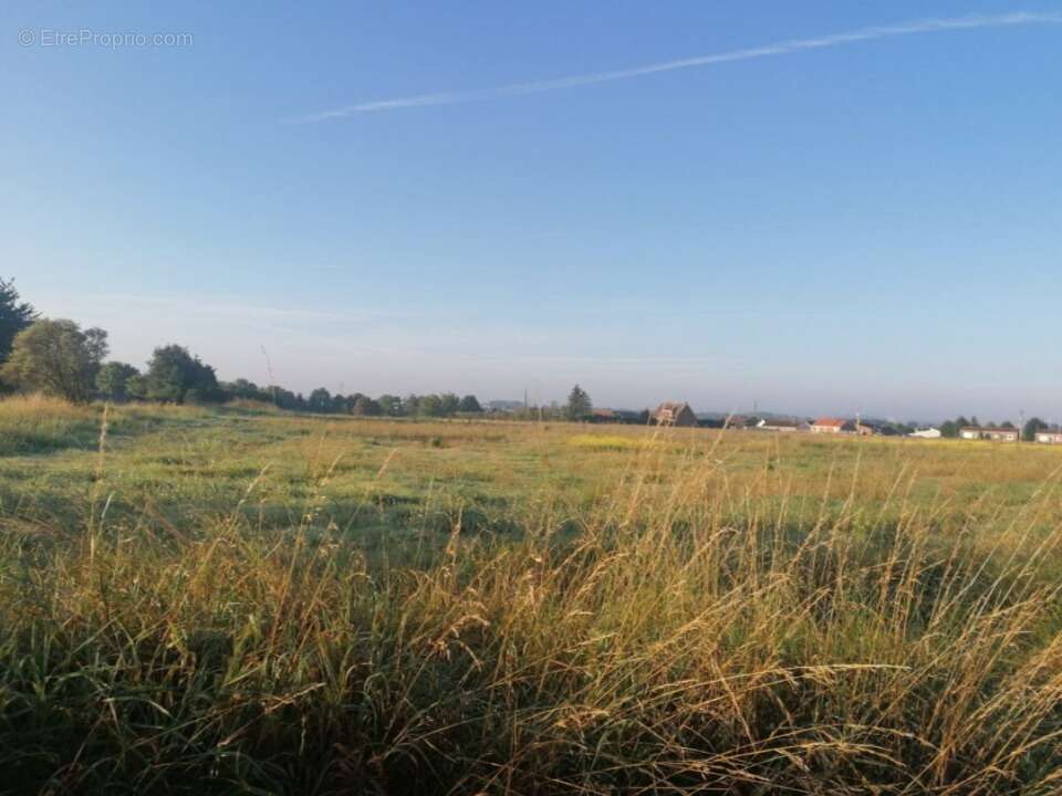 Terrain à LOISON-SOUS-LENS