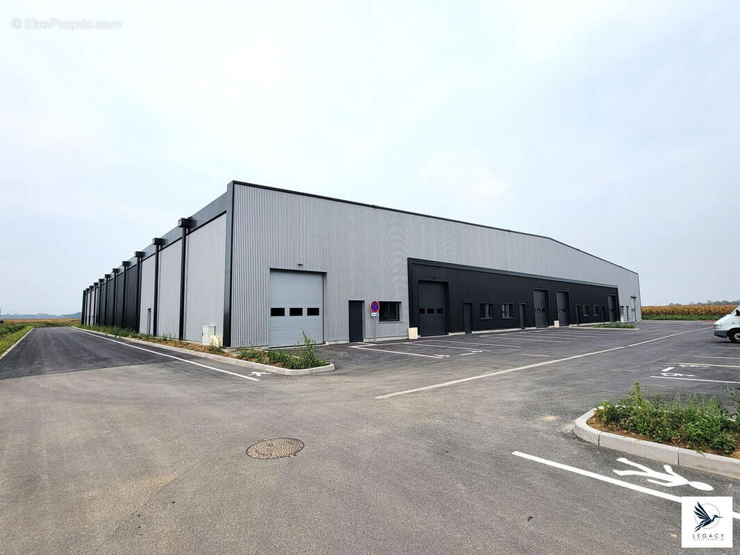 Commerce 320 m² à Fegersheim  - photo 5