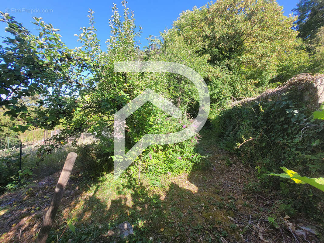 Maison en Pierre Apparente : Votre Refuge Authentique au Coeur de la Nature - photo 4