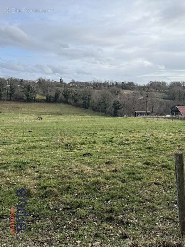 Terrain à CHAILLAC-SUR-VIENNE