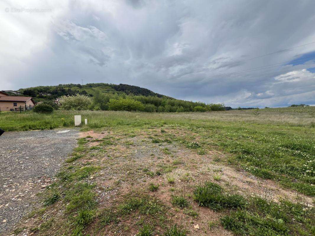 Terrain à MONTMELAS-SAINT-SORLIN