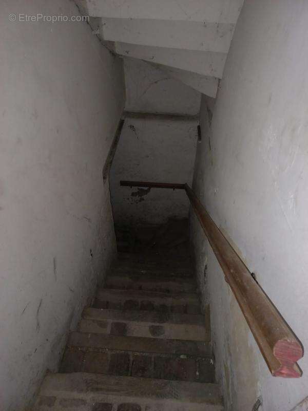 WINGLES 29 rue Georges  Bizet - photo 8