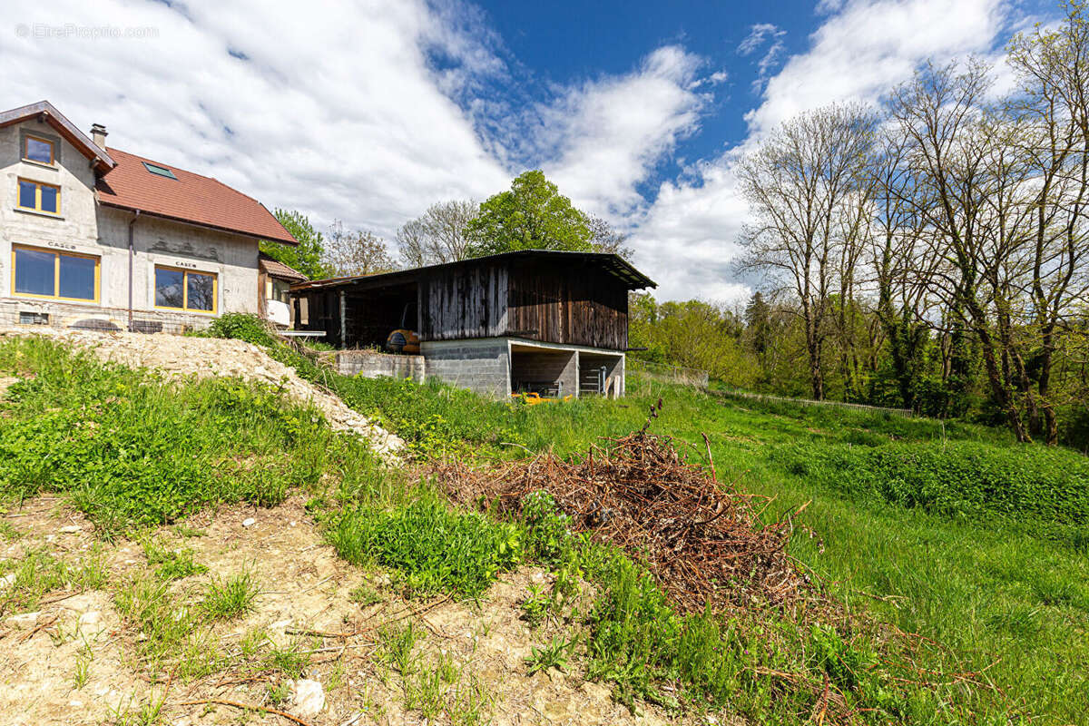 "cyprès" - thusy - a vendre en exclusivite - corps de ferme a renover 291m2 et annexes garage, caves & hangar 115m2 - toiture re - photo 5