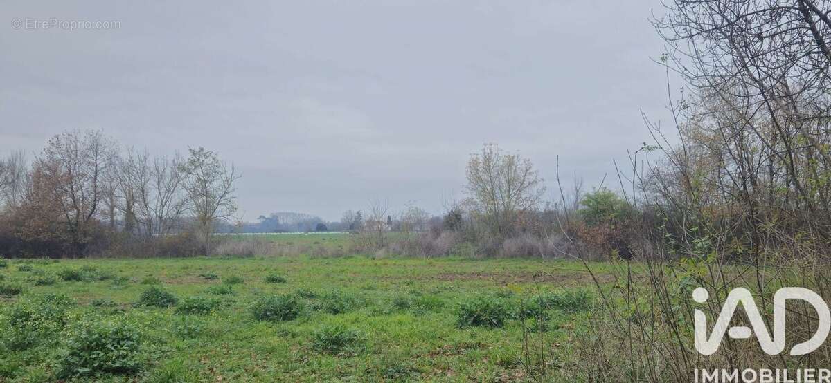 Photo 7 - Terrain à MURET