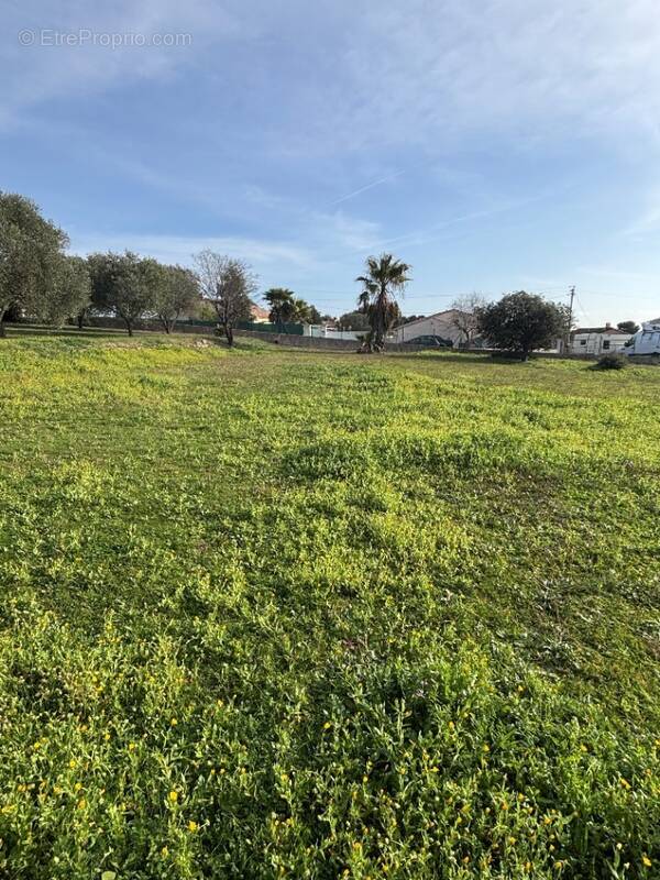 Terrain à ROQUEBRUNE-SUR-ARGENS