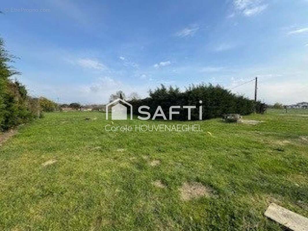 Photo 5 - Terrain à MURET