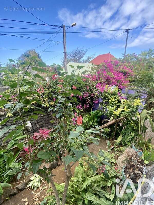 Photo 9 - Maison à SAINT-PIERRE