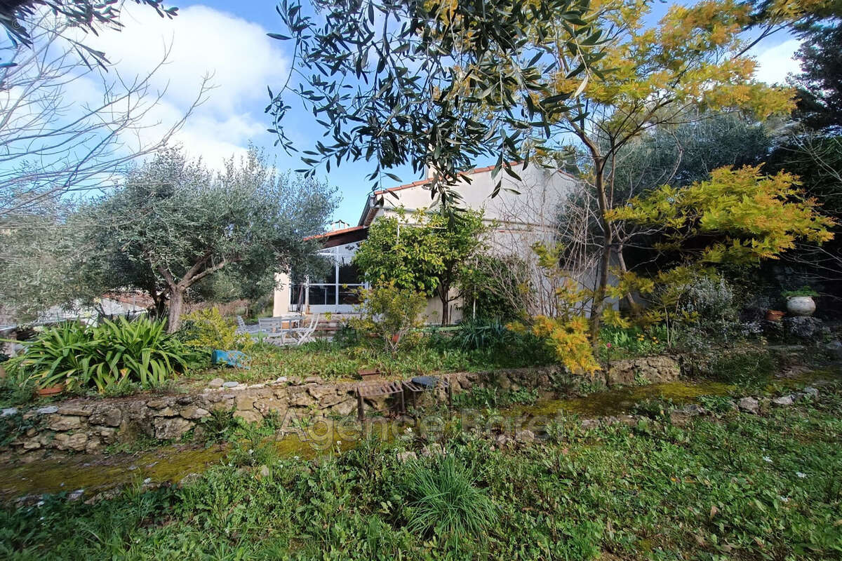 Maison à DRAGUIGNAN