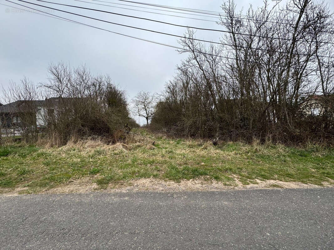 Terrain à HAMBACH