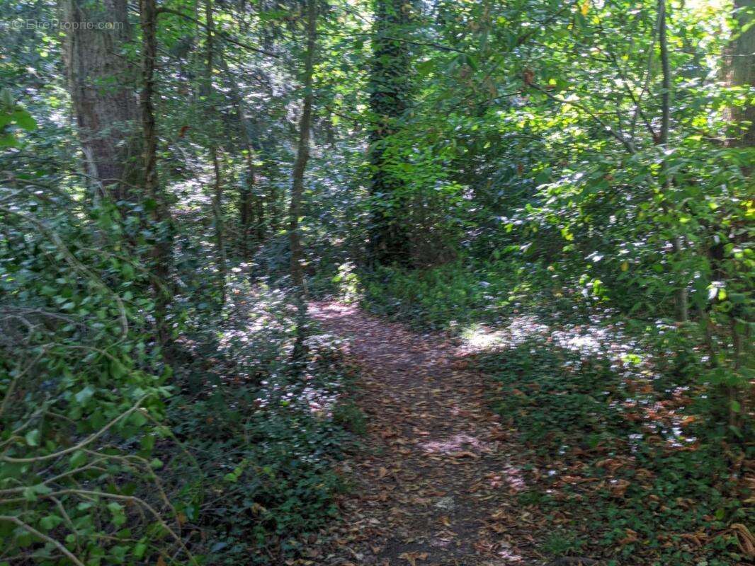 Terrain à LES ESSARTS-LE-ROI