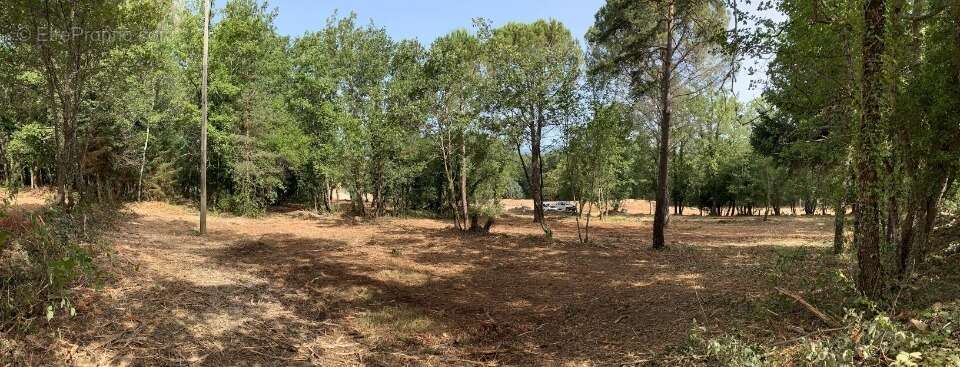 Terrain à TOURRETTES