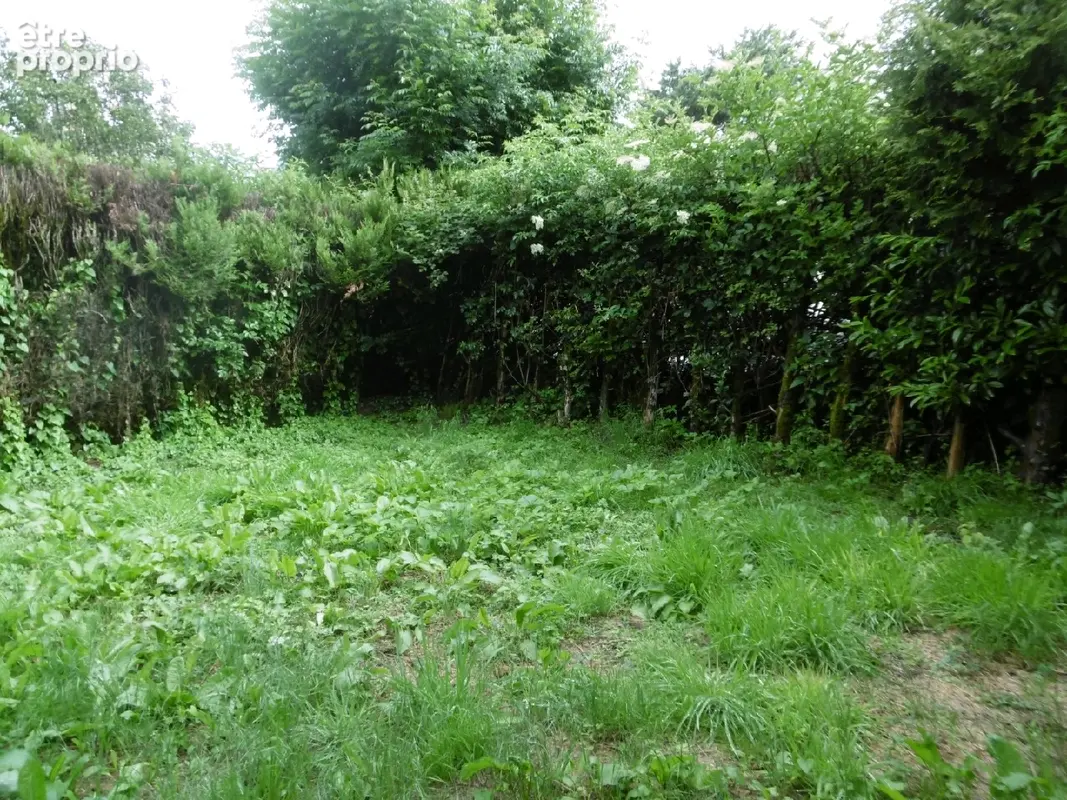 Maison 7 pièces 133 m² à vendre à Sauvat (15240) - photo 15