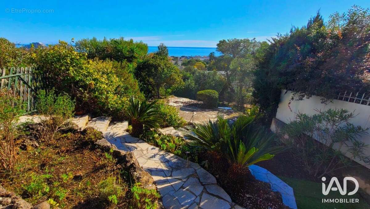 Photo 7 - Appartement à VILLENEUVE-LOUBET