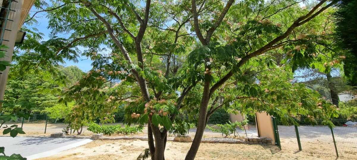 Maison à CUGES-LES-PINS