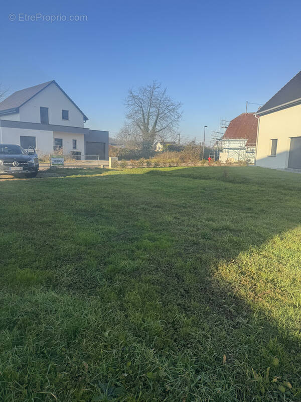 Terrain à ZILLISHEIM