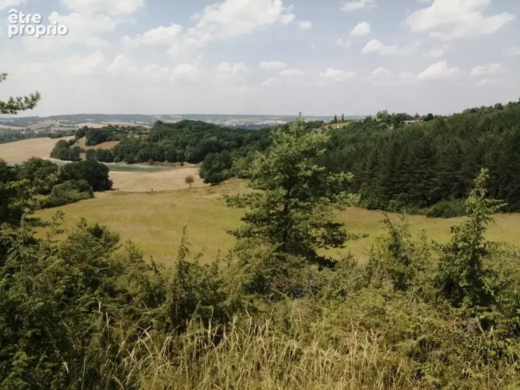 Terres agricoles, 11 hectares d'un seul tenant - photo 3