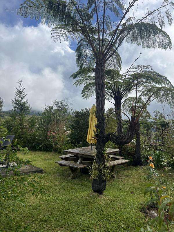 Maison à LA PLAINE-DES-PALMISTES