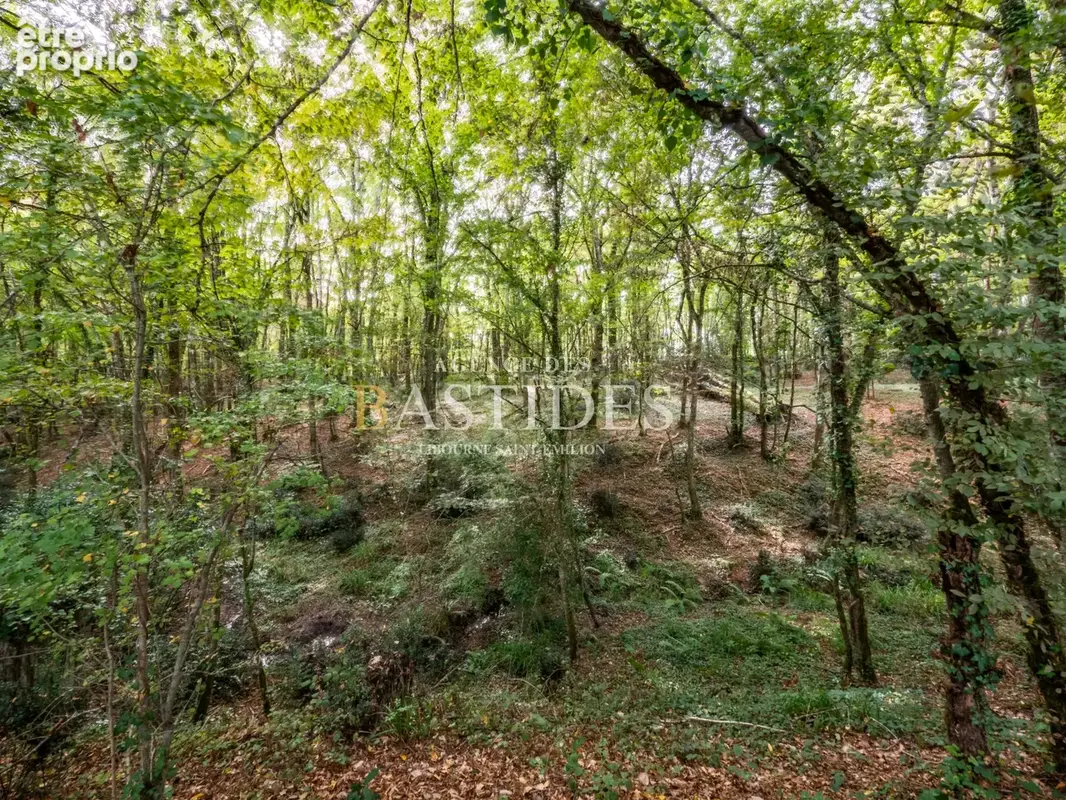 Propriété agricole 38,5Ha, batiments vinicoles et stockage - photo 18