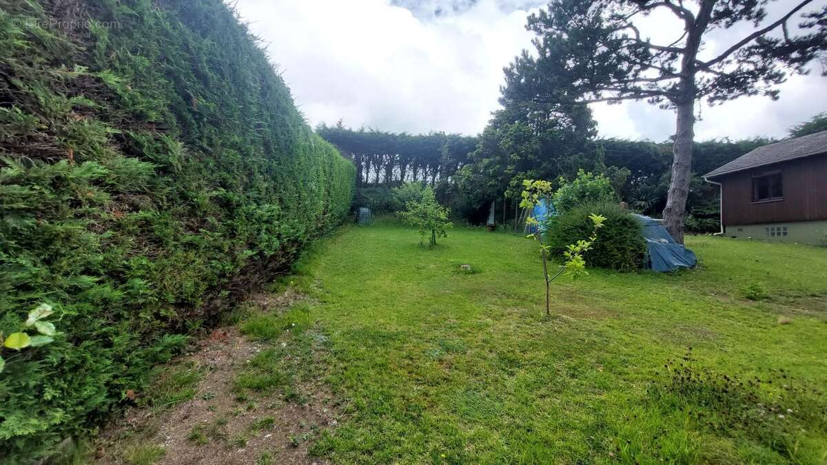 Terrain à CRIEL-SUR-MER