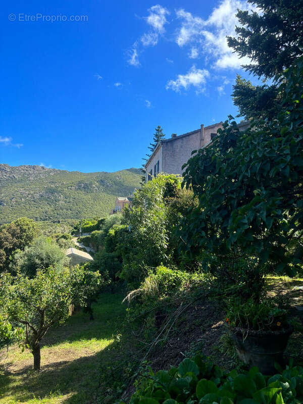 Maison à MORSIGLIA