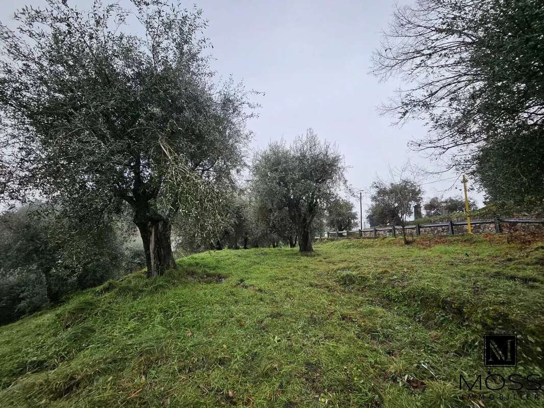 Terrain à BERRE-LES-ALPES