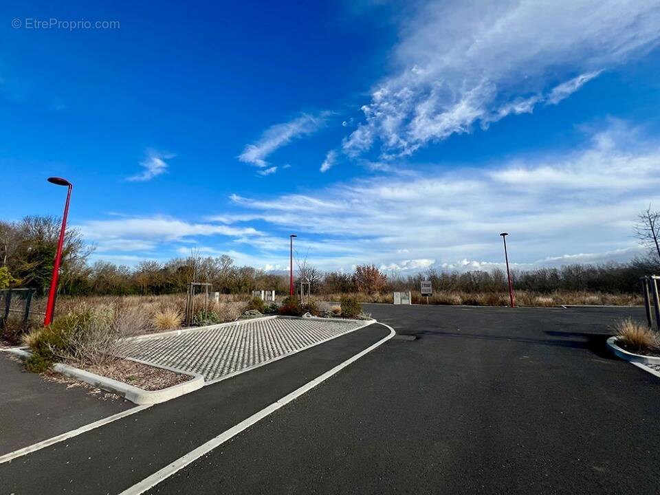 Terrain à SAINT-THIBERY