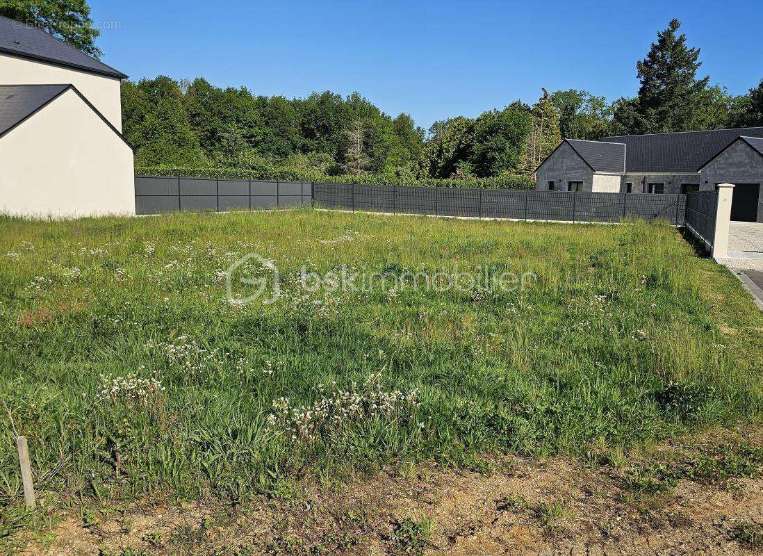 À VENDRE – Terrain Viabilisé à BRAY-SAINT-AIGNAN (45460) - photo 2