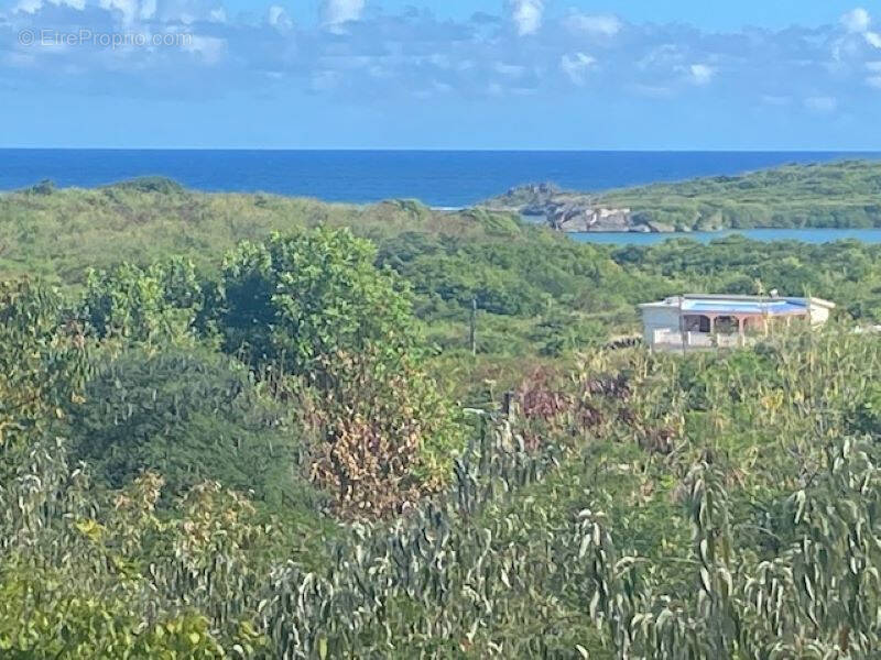 Terrain à SAINTE-ANNE