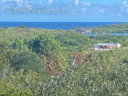 Terrain à SAINTE-ANNE