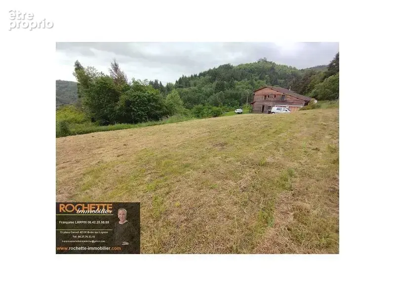 Terrain 1054 m² à Sail-Sous-Couzan  - photo 6