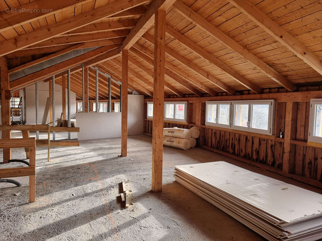 À saisir ? plateau à aménager aux fins - 66m² - 15 minutes de la frontiere suisse - photo 5
