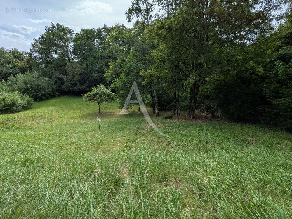 Terrain à ONZAIN