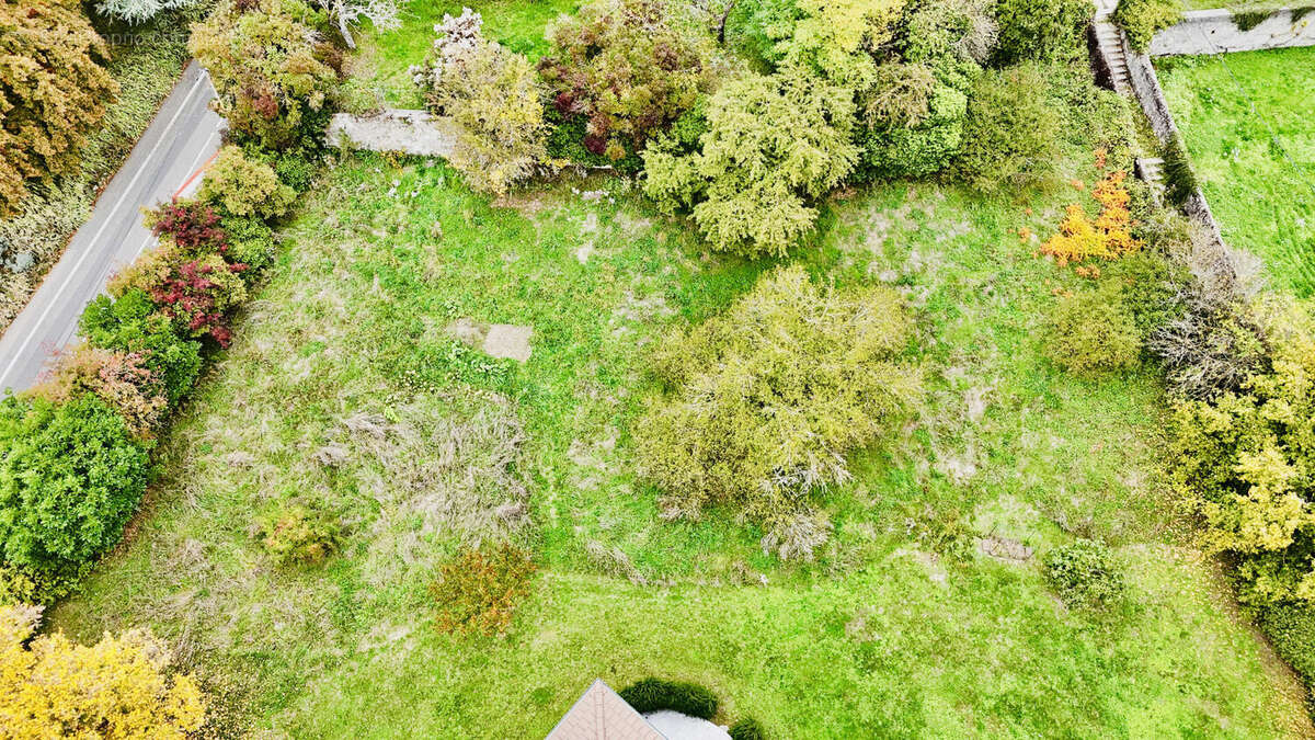 parcelle haut (5) - Terrain à SAINT-JULIEN-EN-GENEVOIS