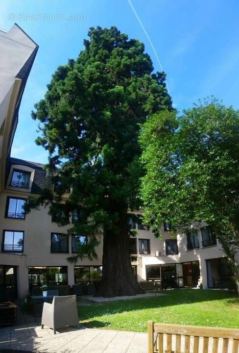 INVESTISSEMENT LOCATIF  Chatenay Malabry  Résidence EHPAD Le Séquoia - 8.16% de rentabilité - photo 10