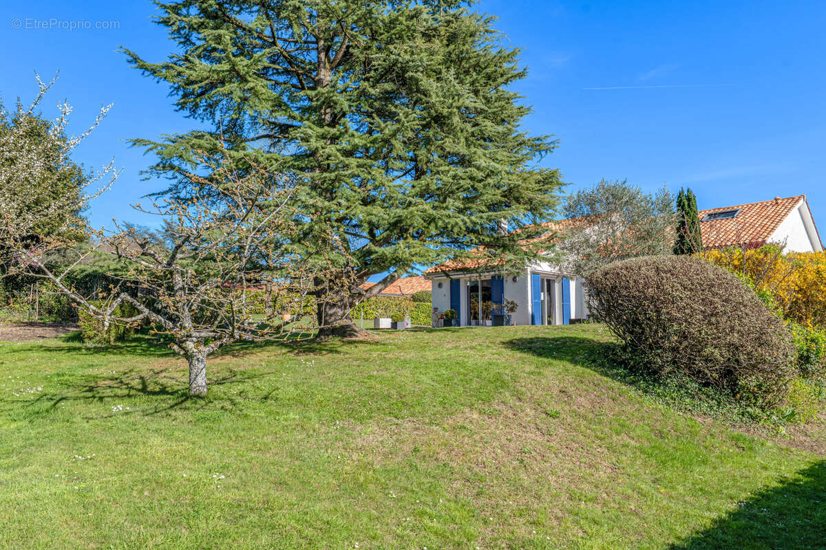 Maison à LA TOUR-DE-SALVAGNY