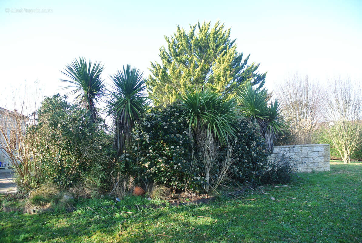 Maison à MIRAMONT-DE-GUYENNE
