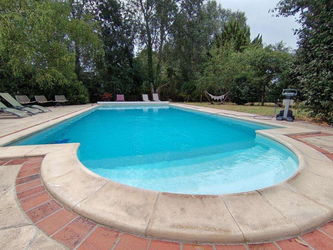 Piscine, verdure & charme - photo 2