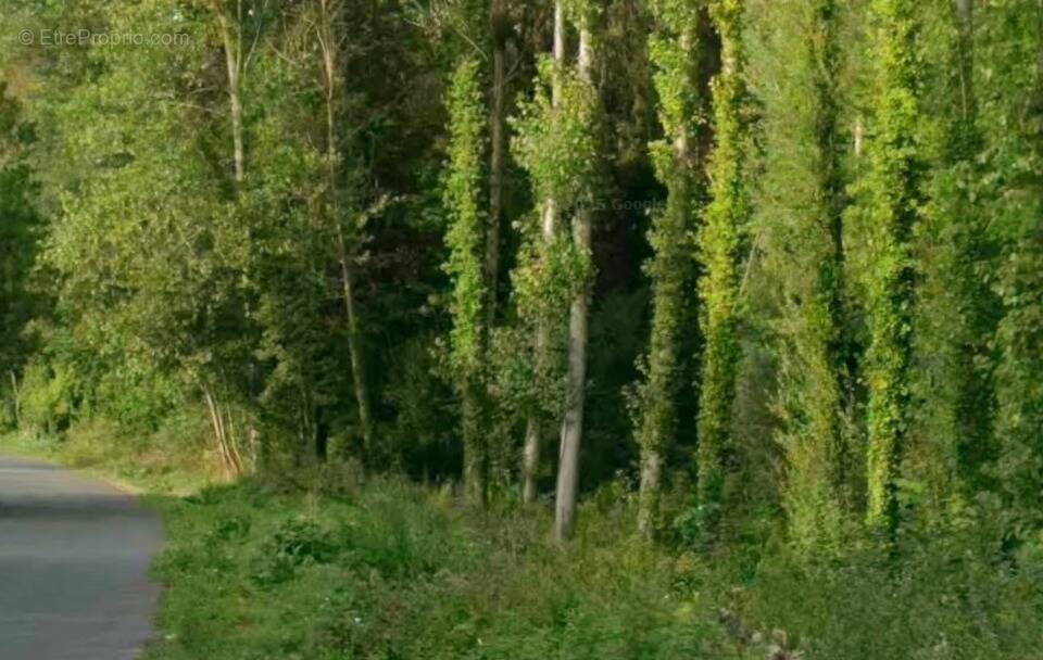 Terrain à ORMOY-LA-RIVIERE