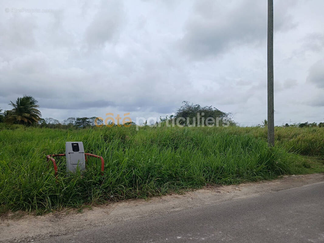 Terrain à SAINTE-ANNE