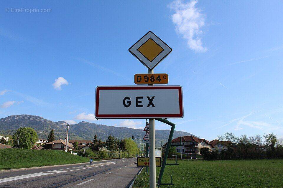 Commerce à GEX