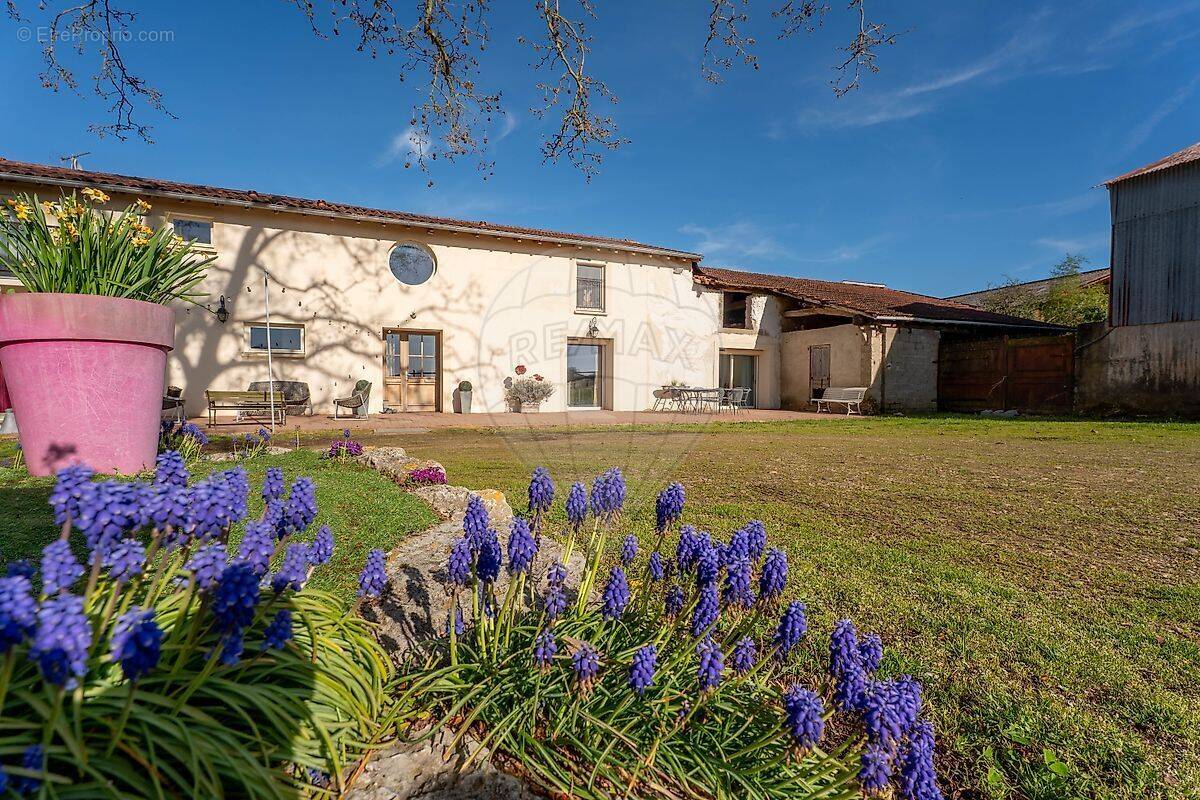 Maison à NEUVILLE-LES-DAMES