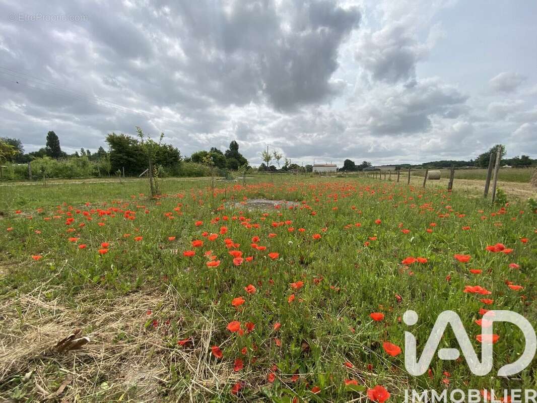 Photo 8 - Maison à AIGRE