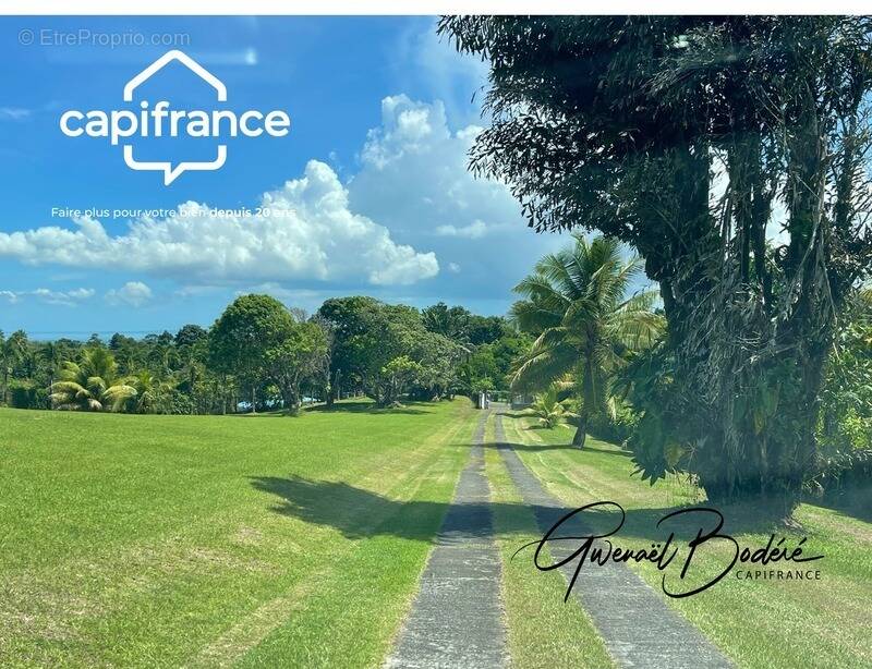 Terrain à PETIT-BOURG