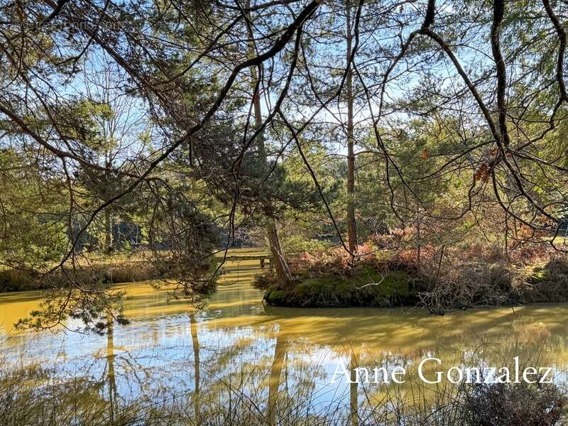 Maison à VIENNE-EN-VAL