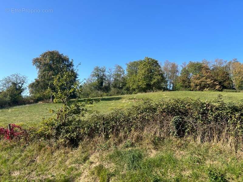 Terrain à VENDAT